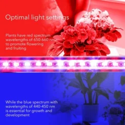 Dartwood LED Grow Lights For Indoor Plants With Red Blue Spectrum - Plant Grow Light With 9 Brightness Levels, Auto On Off Function (3 Pack) -Garden & Outdoors GUEST 00dbe90d 2471 439c a428 ae6c053a48d8