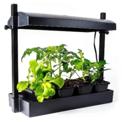 SunBlaster 1600218 T5HO Indoor Canopy Micro Grow Light Garden System With 1, 12-Inch 11-Watt 6400K Strip Light & 1 NanoTech T5 Reflector, Black -Garden & Outdoors GUEST 02dc1883 af79 4b04 bbf7 467ddc3ca9fc