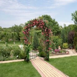 Costway Garden Arch Arbor Trellis With Gate 7.5 Ft Patio Archway Pergola For Wedding 13 Costway Garden Arch Arbor Trellis With Gate 7.5 Ft Patio Archway Pergola For Wedding -Garden & Outdoors GUEST 0c890e14 7a7e 481b 831b caf9f5e8ef0a