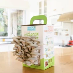 Back To The Roots Organic Mushroom Mini Grow Kit Pearl Oyster -Garden & Outdoors GUEST 14af7100 855c 4d85 be8b ca6ce390920d
