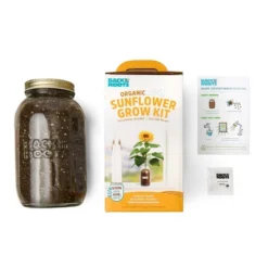 Back To The Roots Organic Sunflower Grow Kit 9 Back To The Roots Organic Sunflower Grow Kit -Garden & Outdoors GUEST 2f04d7e8 ace1 450b 93e3 7a6643d2d00d