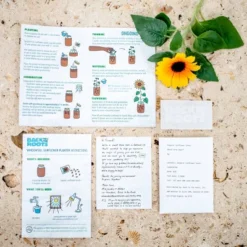 Back To The Roots Organic Sunflower Grow Kit 10 Back To The Roots Organic Sunflower Grow Kit -Garden & Outdoors GUEST 4135958c b71c 4ba1 beff 5c992cca4459