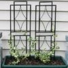 Sunnydaze Decor Sunnydaze Contemporary Metal Wire Garden Trellis For Climbing Plants And Flowers - 30" H - Black - 2-Pack -Garden & Outdoors GUEST 5322f238 b970 4e39 b174 80e7dafe988e