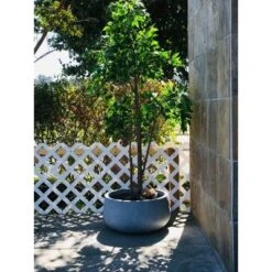 Rosemead Home & Garden, Inc. 16" Wide Kante Lightweight Outdoor Concrete Oval Bowl Decorative Planter Slate Gray -Garden & Outdoors GUEST 5b0ad229 bd30 4d1b b427 fef0aec1b15f
