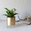 Raised Brass Metal Planter By Foreside Home & Garden -Garden & Outdoors GUEST 5bfcde1b 8423 4aae a8f2 4a4560f16777