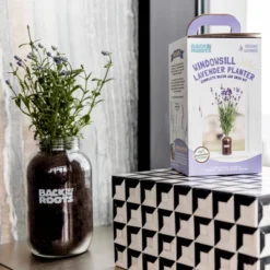 Back To The Roots Organic Lavender Grow Kit -Garden & Outdoors GUEST 5c28df74 fc68 4cf3 9e12 3963a13766f1