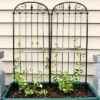 Sunnydaze Decor Sunnydaze Metal Wire Traditional Garden Trellis For Climbing Plants And Flowers - 32" H - Black - 2-Pack -Garden & Outdoors GUEST 636a52bf 1d88 49a4 81ba 8ac52d651522