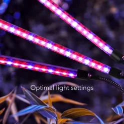 Dartwood LED Grow Lights For Indoor Plants With Red Blue Spectrum - Plant Grow Light With 9 Brightness Levels, Auto On Off Function (3 Pack) -Garden & Outdoors GUEST 64e7f763 cf31 4488 8e7b 2876844a1da3