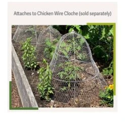 Gardener’s Supply Company Sturdy Chicken Wire Cloche Plant Protector Extension | Adds Broader Area Coverage Protection For Tall Plants Vegetables & -Garden & Outdoors GUEST 6d9b9cff 2d70 468b bd6c 21109121c8b2
