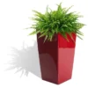 Algreen Modena 22-Inch Tall Inside/Outside Self-Watering Square Decorative Planter Pot With Wheels, Glossy Red 1 Algreen Modena 22-Inch Tall Inside/Outside Self-Watering Square Decorative Planter Pot With Wheels, Glossy Red -Garden & Outdoors GUEST 71858996 0457 4f07 911a e84767dd0276