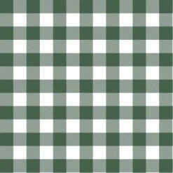 Classic Gingham Outdoor Throw Pillow Evergreen - Skyline Furniture -Garden & Outdoors GUEST 7b7e7ec0 25c3 4c53 9f80 6f857b049b73
