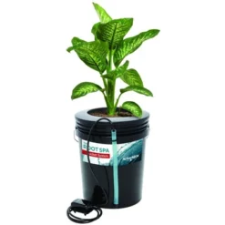 Active Aqua RS5GAL4SYS Root Spa 5 Gallon Hydroponic 4 Bucket Deep Water Culture Grow Kit System With Multi-Purpose Air Hose And Air Pump, Black -Garden & Outdoors GUEST 8b444182 27a6 423c 970a 02aba733eb04