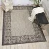 Nourison Garden Party Bordered Indoor/Outdoor Flatweave Area Rug -Garden & Outdoors GUEST 99e00217 581d 4643 a3be 4ffd978b00c2