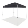 Z-Shade 10 X 10 Foot Angled Leg Outdoor Canopy Tent With A Push Button Locking System And Z-Shade 4 Pack Of Heavy Duty Leg Weight Bags, Black -Garden & Outdoors GUEST 9a2fc6ac 37d6 4851 91a1 4f6e05ade0d6