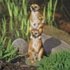 Design Toscano Meerkat Generations Garden Statue - Multicolored -Garden & Outdoors GUEST b8dddea3 7237 4deb 87b9 05bc106255e1