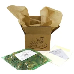 10ct Tulips Giant Orange Sunrise Bulbs - Van Zyverden -Garden & Outdoors GUEST bc77edb8 ae2e 4f65 80b4 613a97ad577f