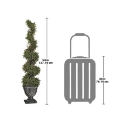 Design Toscano Spiral Topiary Tree Collection: Large -Garden & Outdoors GUEST d20aecec 8c22 4f3c b114 0e500b0341c3