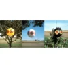 6pk Scare Eye In Three Colors - Bird-X -Garden & Outdoors GUEST d3f2620a ad51 4041 aefd 3239e2b9f8c1