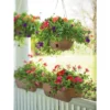 30 2 X 6 Railing Planter - Gardener's Supply Company 2 30 2 X 6 Railing Planter - Gardener's Supply Company -Garden & Outdoors GUEST d5c8a183 3d60 4c7f 8863 ff70e1067811