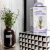 Back To The Roots Organic Lavender Grow Kit 1 Back To The Roots Organic Lavender Grow Kit -Garden & Outdoors GUEST df204d46 2d0c 4a8b 879f 9e028abe9c64
