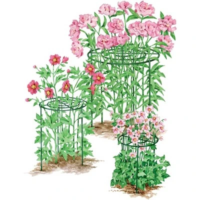 Gardener's Supply Company Grow Through Plant Support | Sturdy Metal Plants Support Frame For Peonies, Rose Ornamental Flower Garden Cage | Wide Top 3 Gardener's Supply Company Grow Through Plant Support | Sturdy Metal Plants Support Frame For Peonies, Rose Ornamental Flower Garden Cage | Wide Top
