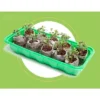 Window Garden Microgreen Organic Wheatgrass 3 Pack Refill 1 Window Garden Microgreen Organic Wheatgrass 3 Pack Refill -Garden & Outdoors GUEST f3802408 8bea 47cb a890 a1159435c5dd