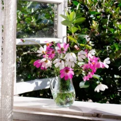 Back To The Roots 5pk Organic USA Flower Seeds -Garden & Outdoors GUEST f4347ac0 4180 4cf1 b5e5 4b29a72da013