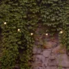 25 Lights Mercury Electric Globe String Lights Gold -Garden & Outdoors GUEST f49e7c4a 1c5e 403b b5a7 42f834feb160