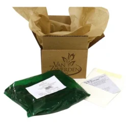 5ct Astilbe Top Choice Cake Mixture Bulbs - Van Zyverden -Garden & Outdoors GUEST ff98bf5b db7e 4a15 a709 85d35c46c7f6